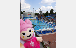 Championnats du monde à Budapest